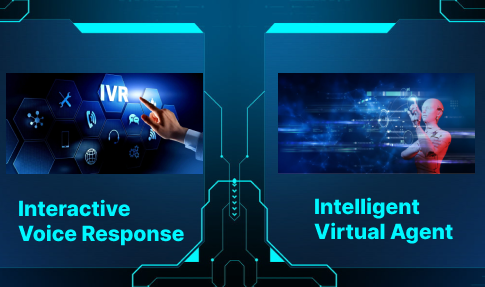 IVA vs IVR