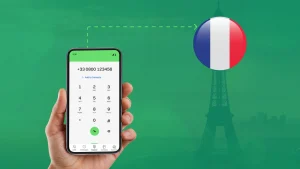 French Number Format for toll free numbers when dialing from the US.