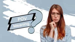 what does pov mean in text?