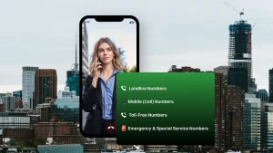 Types of US Phone numbers with format.