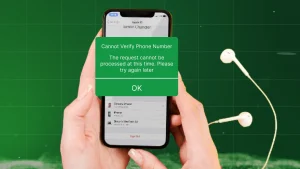 iPhone showing Apple ID phone number verification error.