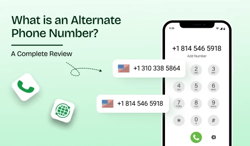 This infographics provides what is an alternate phone number.