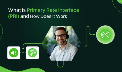 What is PRI (Primary Rate Interface) and How Does It Work?