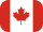 flag icon