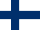 flag icon