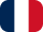 flag icon