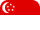 flag icon